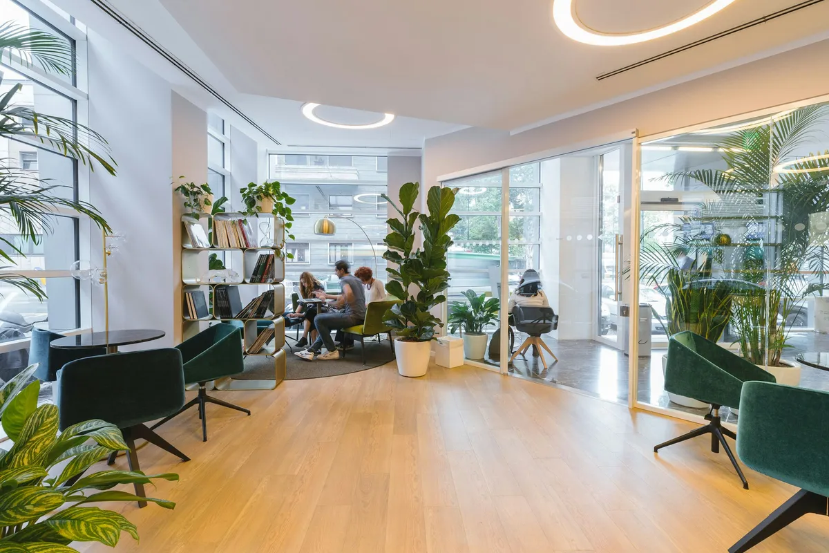 Studio Verdant — commercial interior