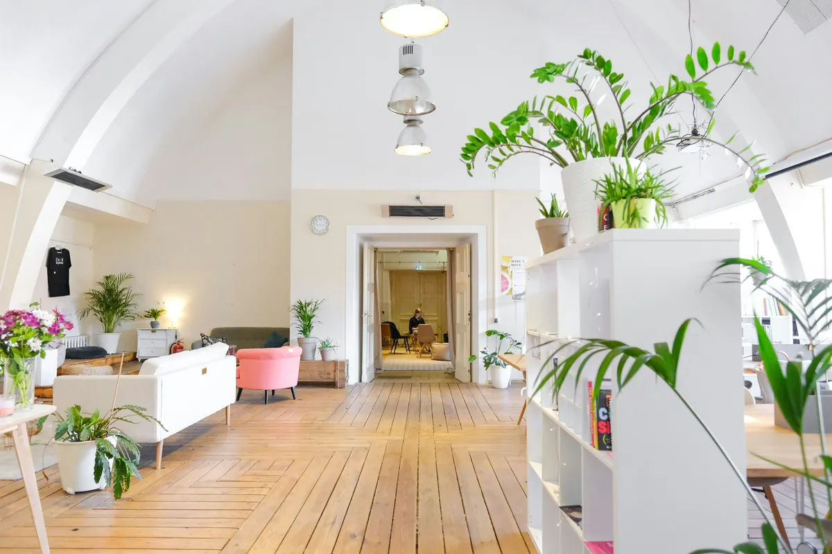 Studio Verdant — commercial interior