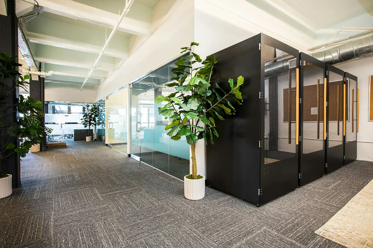 Studio Verdant — commercial interior